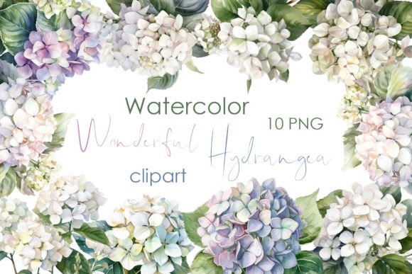 Watercolor Floral Clipart, Hydrangea Png